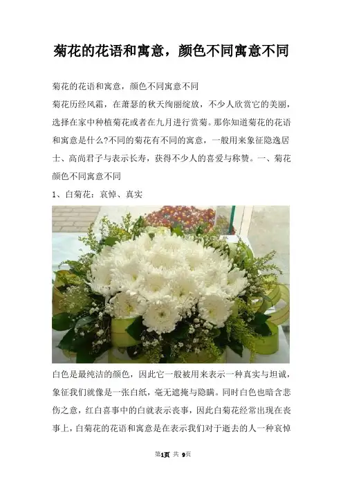 菊花的花语和寓意，颜色不同寓意不同