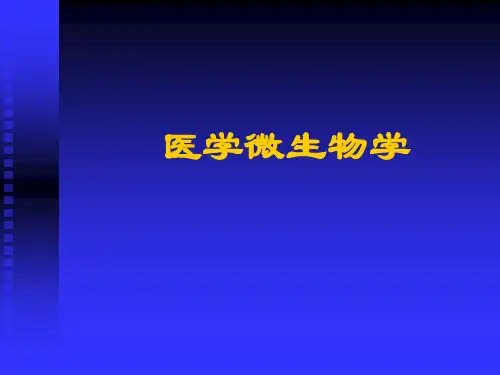 【病原生物与免疫学】第十一章  细菌的形态与结构