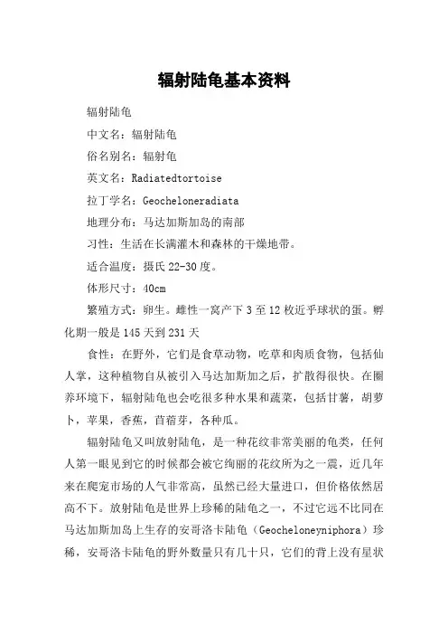 辐射陆龟基本资料