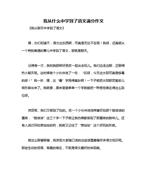 我从什么中学到了语文满分作文