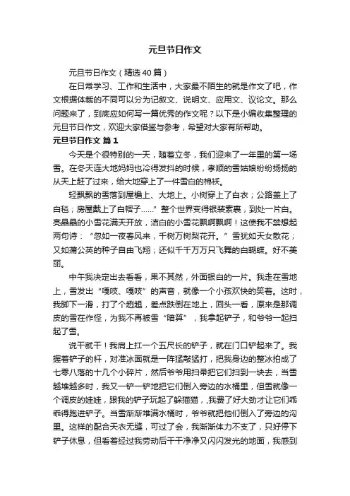 元旦节日作文（精选40篇）
