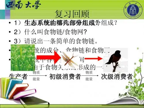 人教版教学课件生态系统的能量流动郭宾