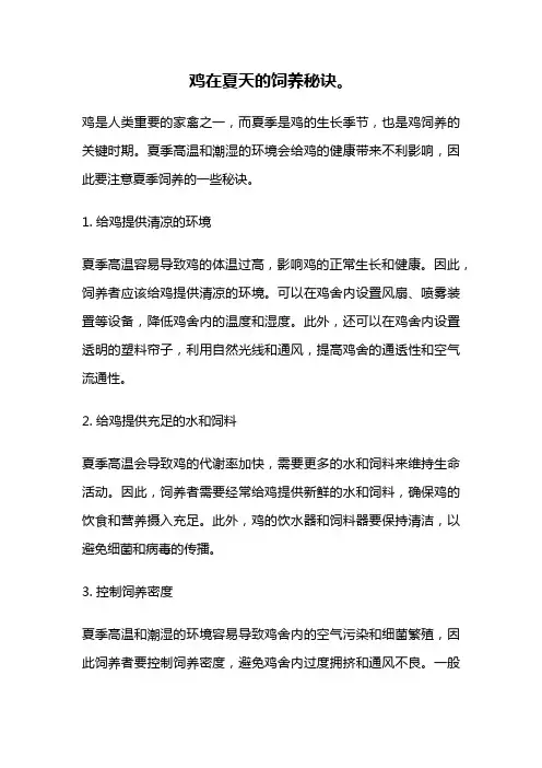 鸡在夏天的饲养秘诀。