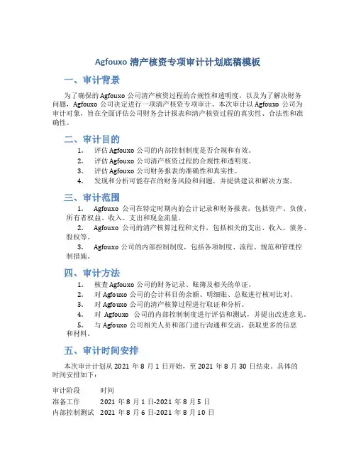 Agfouxo清产核资专项审计计划底稿模板