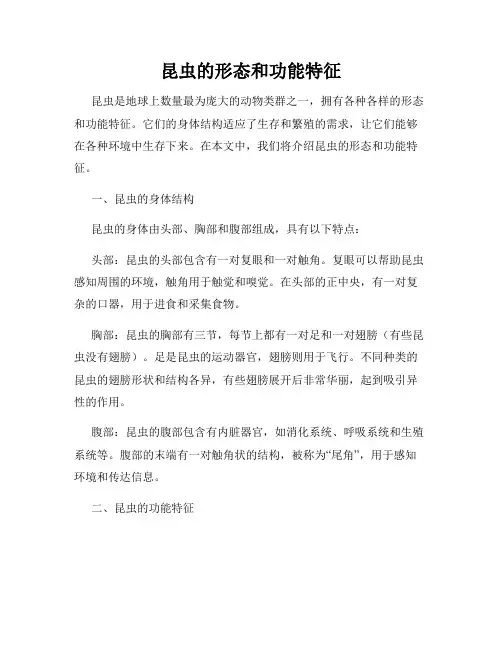昆虫的形态和功能特征