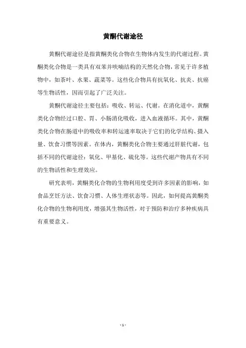黄酮代谢途径