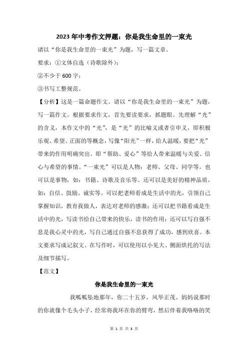 2023年中考作文押题：你是我生命里的一束光