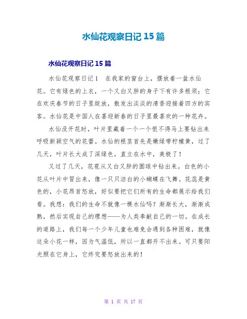水仙花观察日记15篇