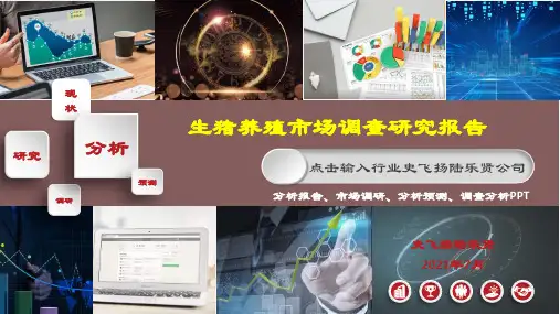 生猪养殖行业分析报告PPT