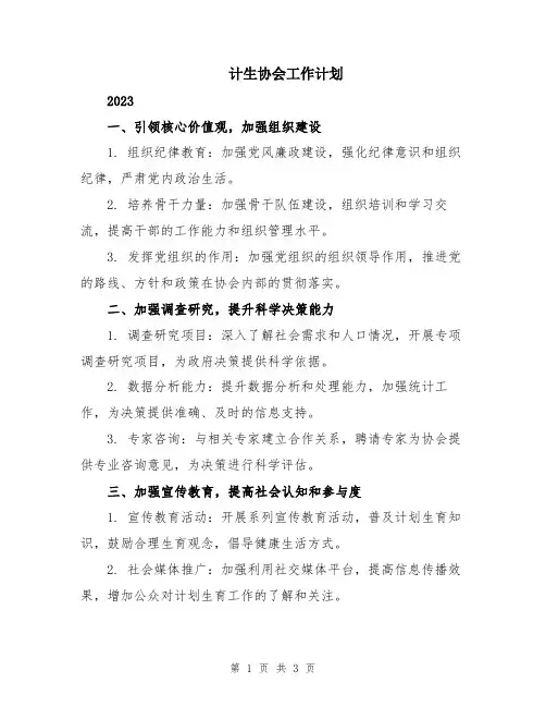 计生协会工作计划 2