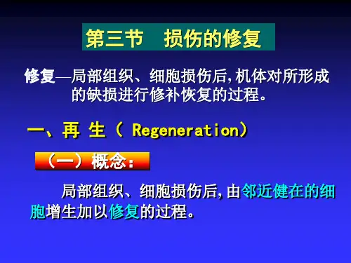2.再生