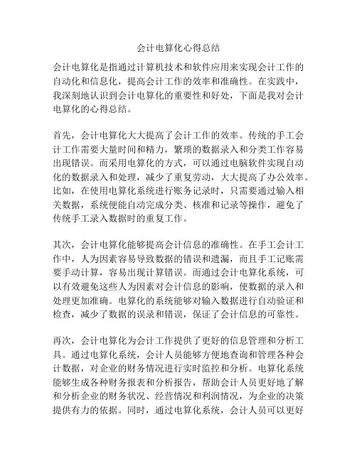 会计电算化心得总结