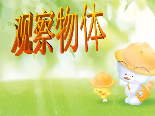 新人教版小学数学《观察物体》PPT名师课件1