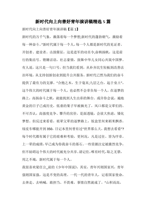 新时代向上向善好青年演讲稿精选