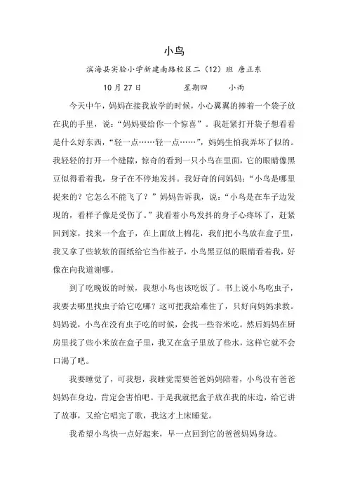 作文 《小鸟》