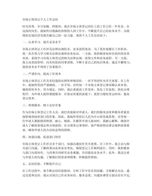 市场主体登记个人工作总结