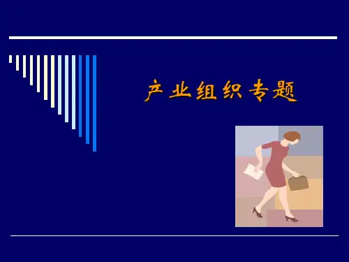 产业经济学16本科第四章