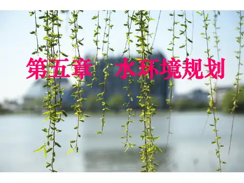《环境规划学》第五章 水环境规划-2
