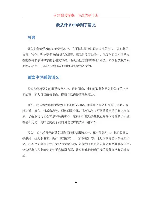 我从什么中学到了语文 (3)