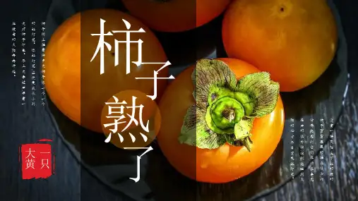 美术节日课件 《霜降柿子》教学PPT