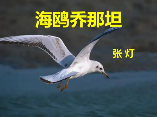 《海鸥乔那坦》ppt课件