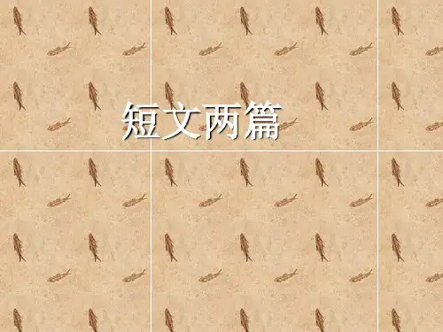 《短文两篇·不求甚解·谈读书》 公开课获奖课件