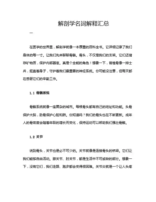 解剖学名词解释汇总
