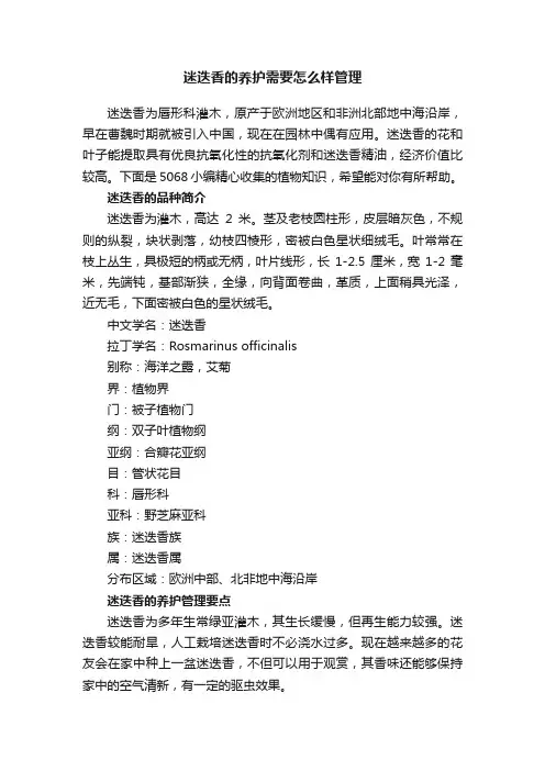 迷迭香的养护需要怎么样管理