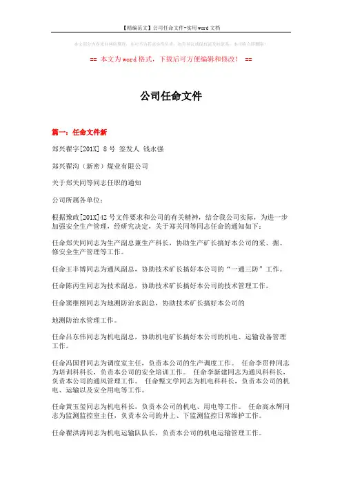 【精编范文】公司任命文件-实用word文档 (6页)