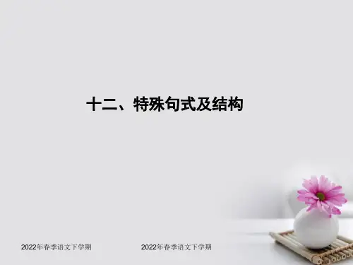 高考英语语法专题十二特殊句式及结构)PPT