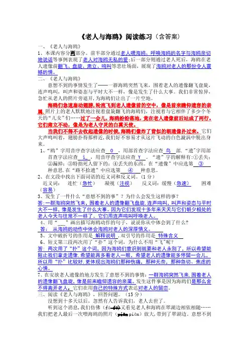《老人与海鸥》阅读及答案-(完整版)