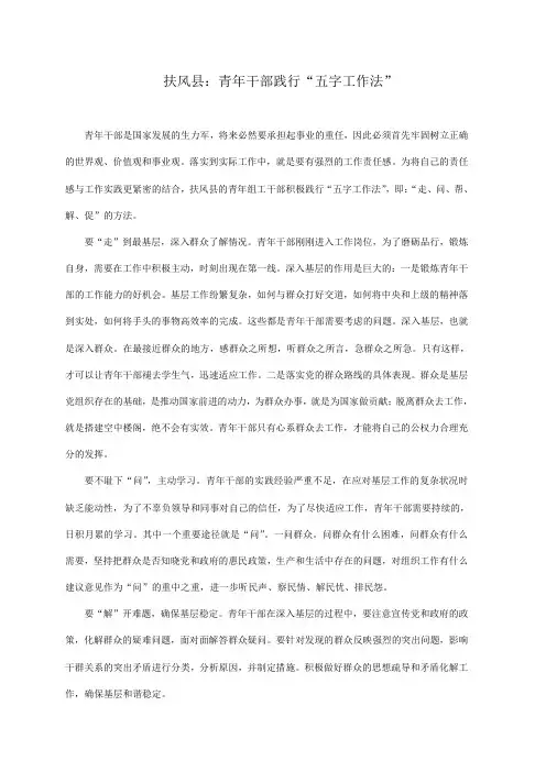 青年干部践行“五字工作法”