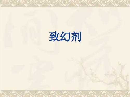 毒品-5(致幻剂)