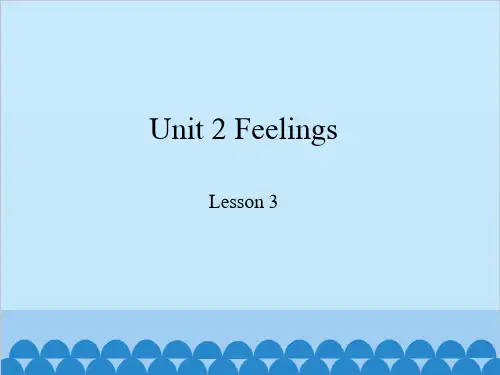 五年级上册英语课件-Unit 2 Lesson 3 You look worried  鲁科版