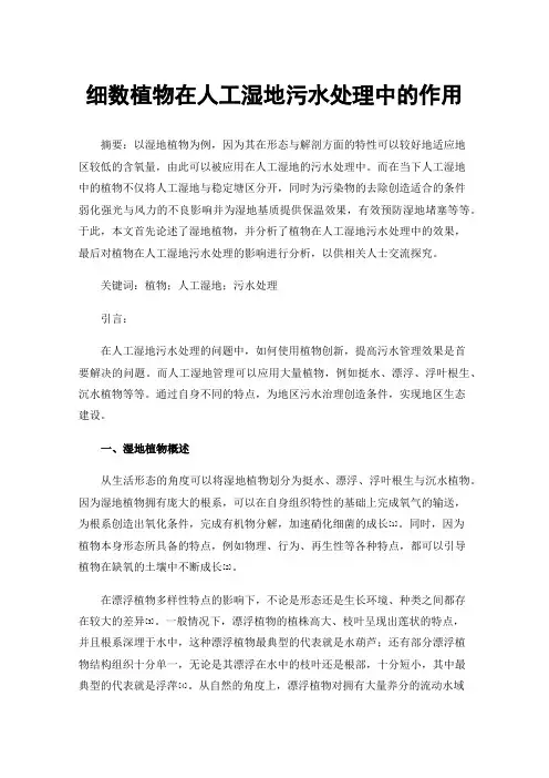 细数植物在人工湿地污水处理中的作用