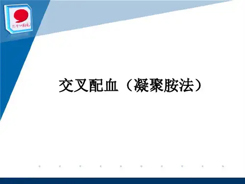 交叉配血(凝聚胺法)