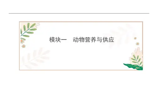 1.1.3能量在动物体内的转化 课件《畜禽营养与饲料》同步教学(中国农业出版社)