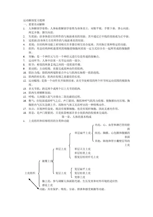 运动解剖复习提纲