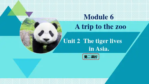 七年级上册英语第2课时 M6 Unit 2 The tiger lives in Asia