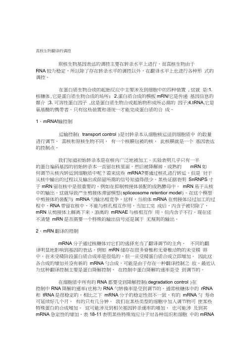 真核生物翻译调控