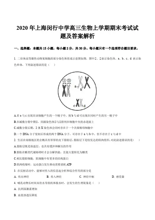 2020年上海闵行中学高三生物上学期期末考试试题及答案解析