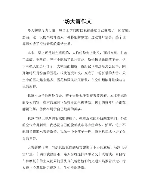 一场大雪作文