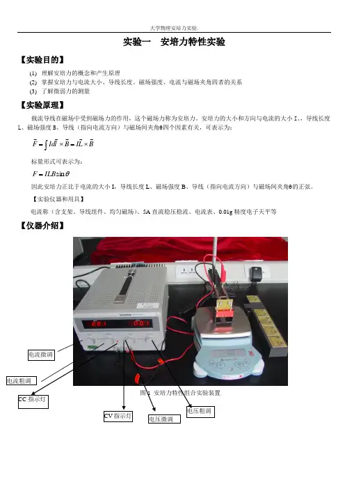 大学物理安培力实验