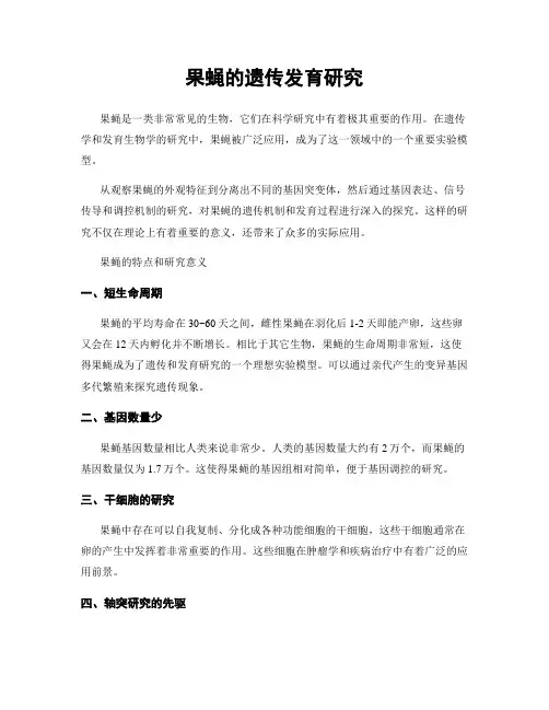 果蝇的遗传发育研究