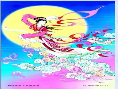 苏教版小学五年级语文下册《梦圆飞天》ppt课件