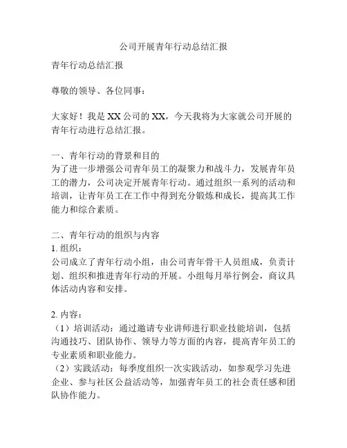 公司开展青年行动总结汇报