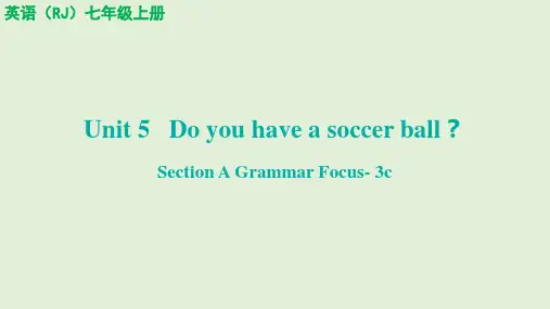 Do+you+have+a+soccer+ball？+Section+A+Grammar+Focus