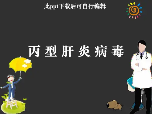 丙型肝炎病毒ppt课件