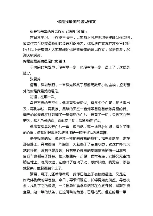 你是我最美的遇见作文