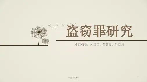 盗窃罪ppt课件